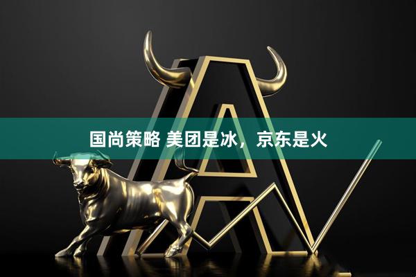 国尚策略 美团是冰，京东是火