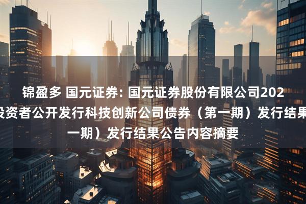 锦盈多 国元证券: 国元证券股份有限公司2025年面向专业投资者公开发行科技创新公司债券（第一期）发行结果公告内容摘要