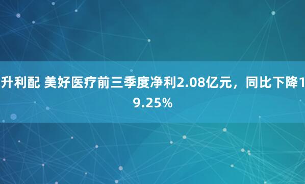 升利配 美好医疗前三季度净利2.08亿元，同比下降19.25%